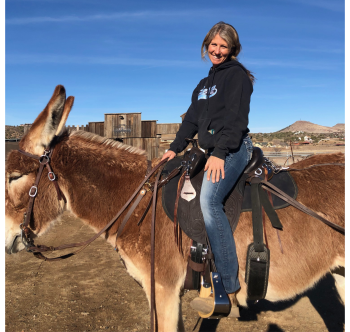 fitting a saddle to a donkey